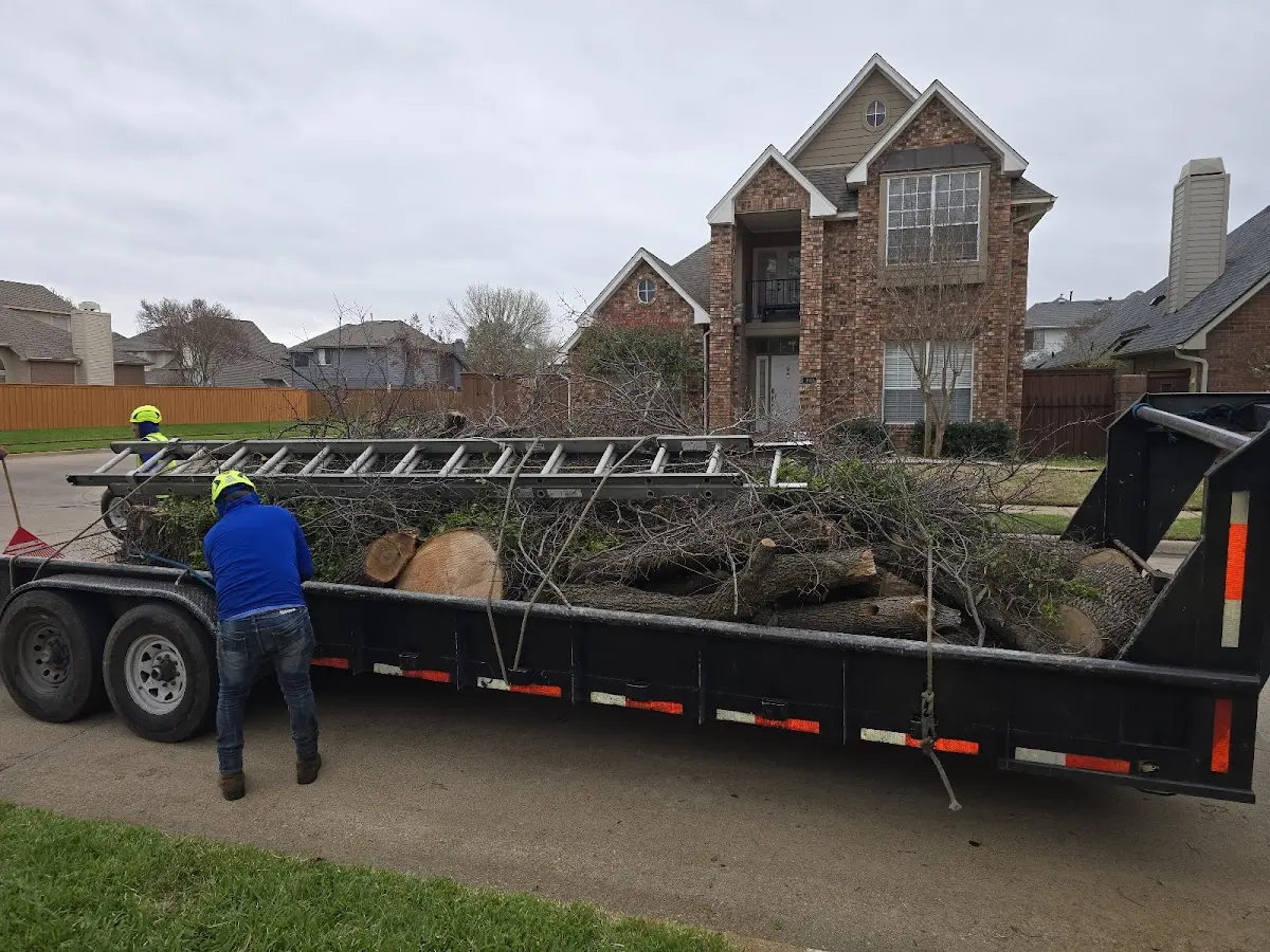 Expert Lot Clearing with proper safety equipment in Montezuma